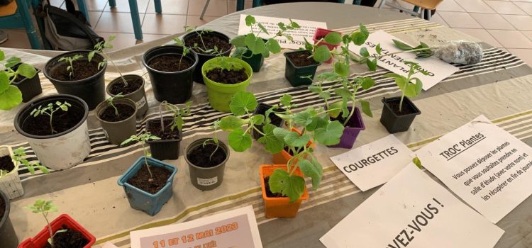 Troc de plantes au lycée Troc de plantes au lycée