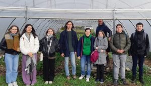 Lire la suite à propos de l’article Potager municipal de Lure : des légumes sains et locaux pour les cantines scolaires