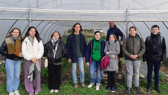 Potager municipal de Lure : des légumes sains et locaux pour les cantines scolaires