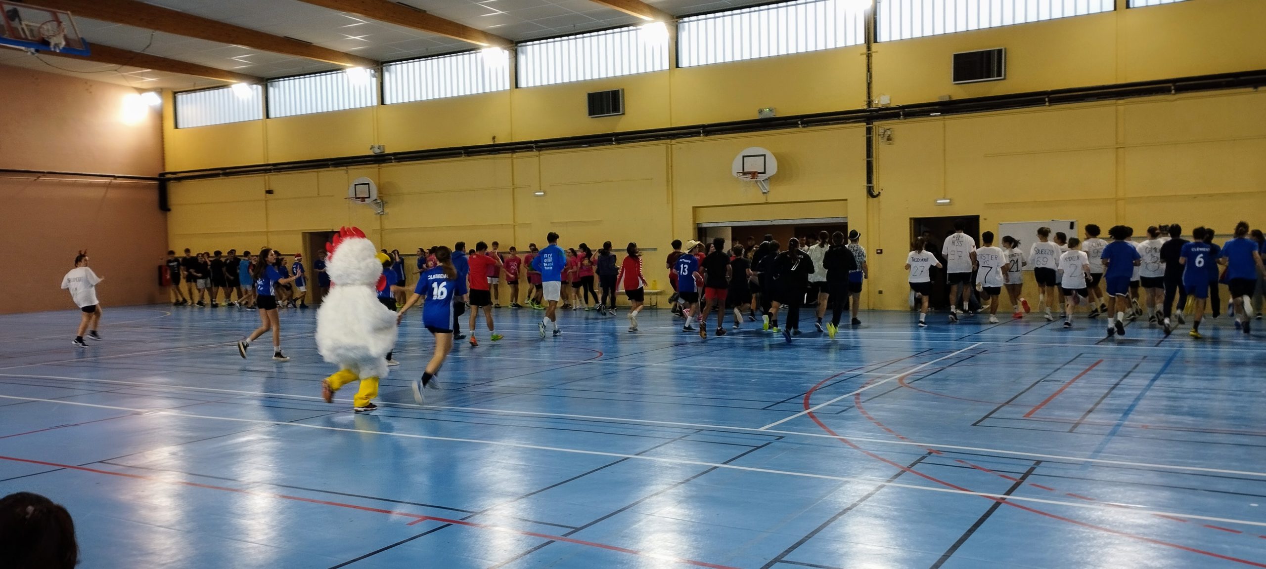 Le lycée Georges Colomb promeut la mixité grâce à un tournoi de handball