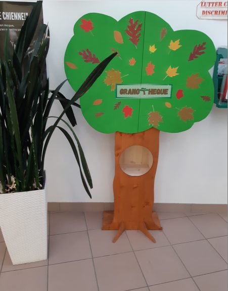 Cultiver le savoir : jeunes pousses et arbres, une leçon grandeur nature